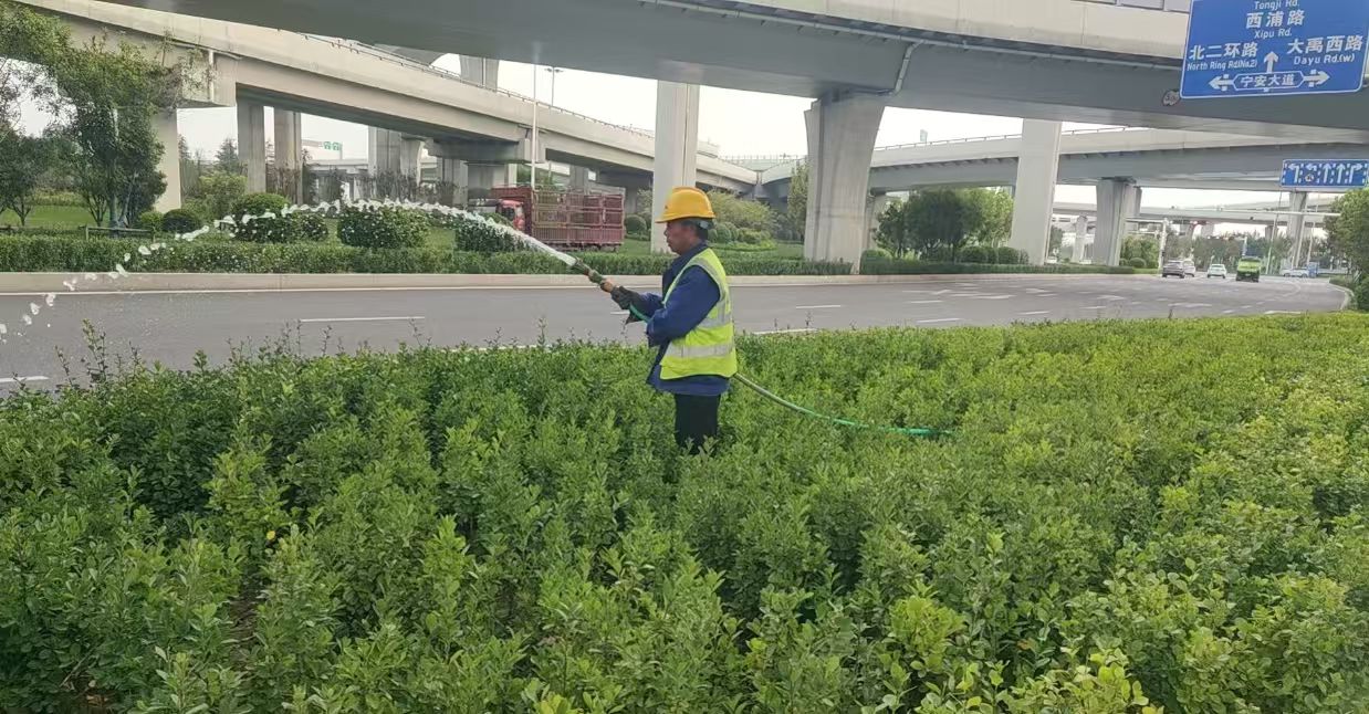 綠化工程